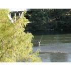 Grants Pass: : Fishing on the Rogue River near 6th Street