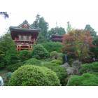 San Francisco: : Japanese Tea Garden at Golden Gate Park