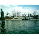 Kemah: Galveston Bay at the Kemah Boardwalk
