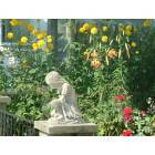 Beverly: : Stone Girl Bending Down to Look at the Lovely Flowers in Bartlett Gardens Neighborhood, Beverly