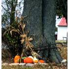 Centralia: Autumn comes to Centralia