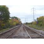 Royal Oak: Train Tracks (Royal Oak)