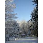 Madison: Winter's Perfection