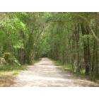 Tampa: Hillsborough State PArk