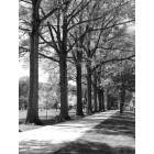 Huntington: : ritter park path