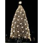 Washington: : The National Christmas Tree, Washington, DC