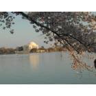 Washington: : Jefferson Memorial