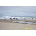 Cannon Beach: Horses on Cannon Beach