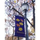 Griffith: Central Park seasons on display