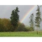Carlsborg: what lies at the end of your rainbow? Our backyard - Carlsborg