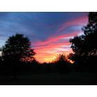 Hohenwald: This is a picture from my grandparents' back porch of a beautiful sunset.
