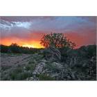 Seligman: Sunset over Lot 1393 Sierra Verde Ranch Early September