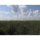 Boca Raton: Everglades near Boca Raton