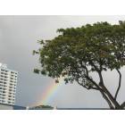 Honolulu: 2005-05-18, 2 (Rainbow shot right above Safeway grocery store at Young Street)
