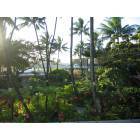 Honolulu: Honolulu airport