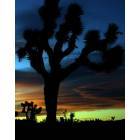 Yucca Valley: Sunrise over Yucca Valley