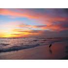 Sarasota: Lido Key Sunset