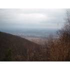South Williamsport: View from Skyline Drive