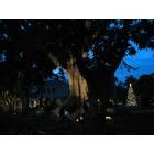 Fort Myers: : The Home of Thomas Edison - with Christmas Lights, 2006