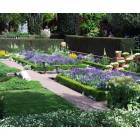 Woodside: Filoli gardens