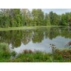 Portland: The Columbia Slough in Portland, Oregon