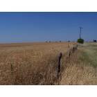Trent: Wheat Fields & Blue Skies @ Trent