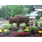 Buffalo: I love Buffalo