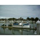 Eureka: Madaket Ferry with Woodley Island Marina in background.