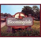 Village Sign: Bloomingdale, IL