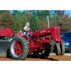 Orangeburg: Sunny Plain Antique Power Association Tractor Pull, ST. Matthews