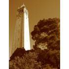 Berkeley: Sather Tower (The Campanile)
