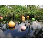 Miami: Fairchild Tropical Garden