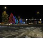 Williams: : Christmas in Williams