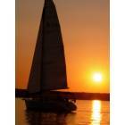 Stockton: : Sailboat Sunset