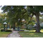 City park in Minden