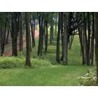 McGregor: view of ancient burial mounds at Effigy Mounds near McGregor
