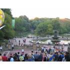 New York: : Summer Day in Central Park