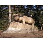 State College: : Penn State Nittany Lion