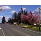 Montesano: West end of Montesano on Pioneer Ave