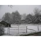 Maggie Valley: Snowy barn scene behind Joey's Restaurant in Maggie Valley