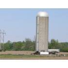 Troy: Lone Silo