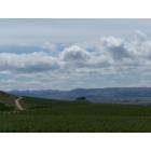 Caldwell: View from St. Chapelle Winery