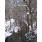 Mount Vernon: A Stream in winter US 461 I Mount Vernon ,KY Feb. 2007