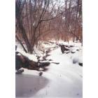 Eden: Snow covered creek