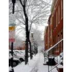 Baltimore: : Rowhouses in the Snow