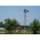 Knob Noster: The Beautiful Wineries in Knob Noster