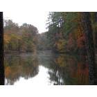 Suffolk: Lake Prince in Suffolk, VA