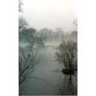 Collingswood: One foggy, snowy morning in Collingswood