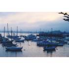 Monterey: harbor at sunrise