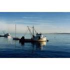 Monterey: harbor